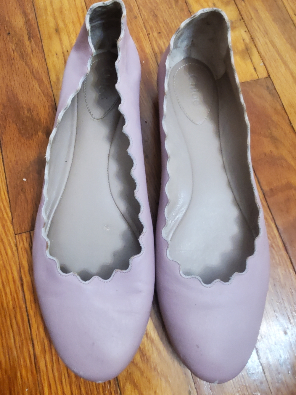 Chloe Scalloped Ballet Flats in Pale Pink